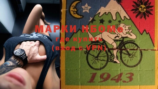 индика Всеволожск